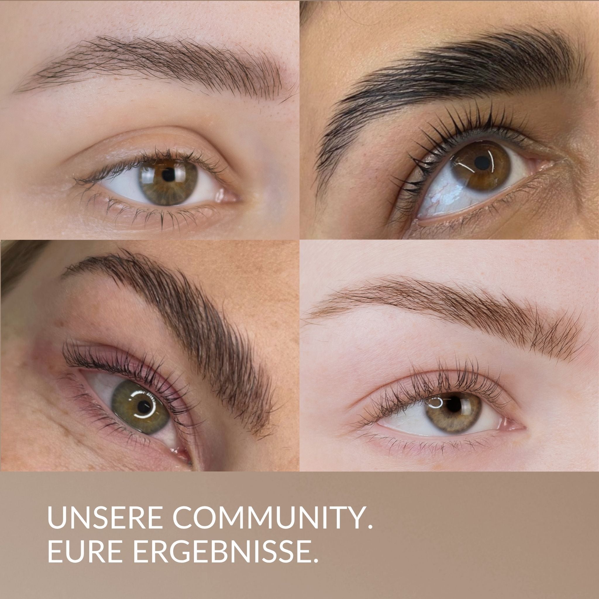 browtint Ergebnisse
