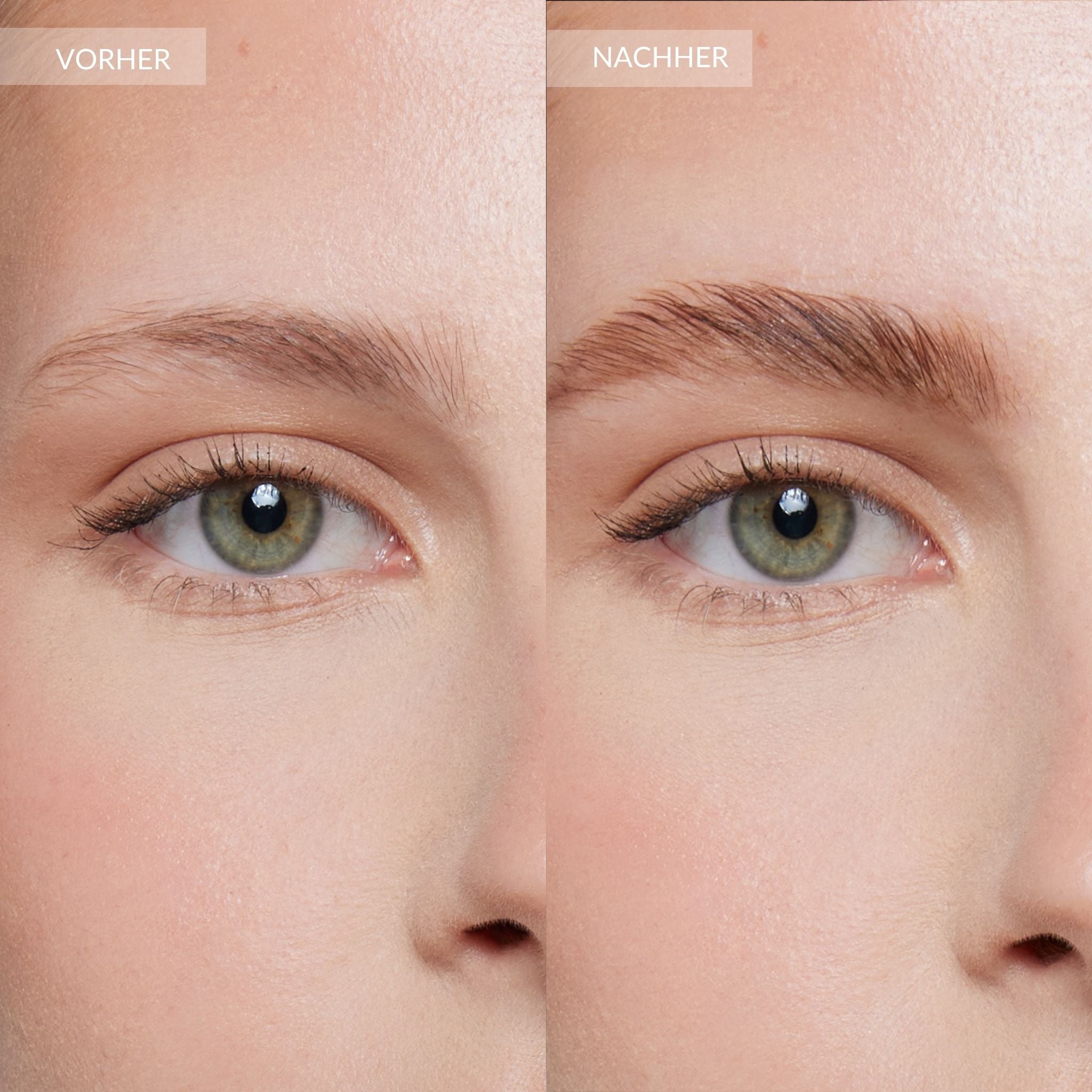 browtint lightbrown #color_light brown